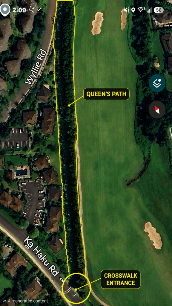 Aerial view of Queen's Path with a yellow line outlining the path and crosswalk entrance.